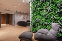 10 idee per creare un angolo verde in casa senza troppa fatica