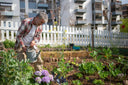 Cómo proteger tus plantas de exterior en invierno: Guía completa