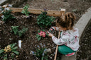 Consejos para crear un jardín de bajo mantenimiento