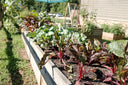 Jardineras modernas: Elegancia y funcionalidad para tu patio o balcón