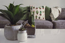 Tendenze d'arredo: i cactus artificiali sono la nuova moda