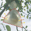 Confezione da 50 protezioni per la frutta, Fruitsac, 20x30 cm, bianco, Nortene