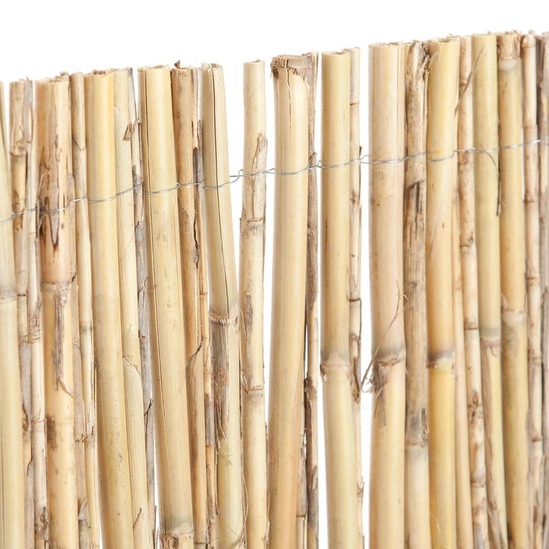 Excelcane nortene ostacolo intero naturale