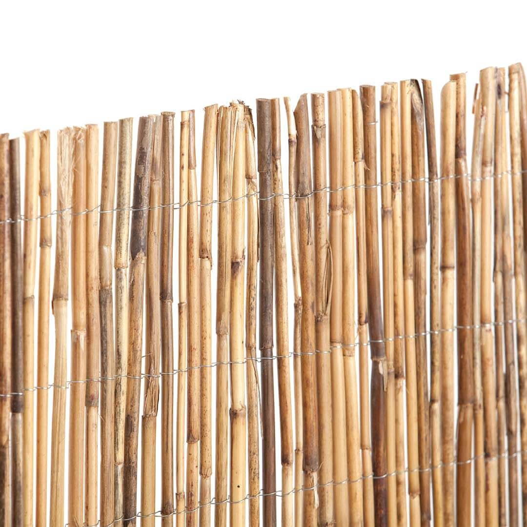 CAÑIZO BAMBU ENTERO