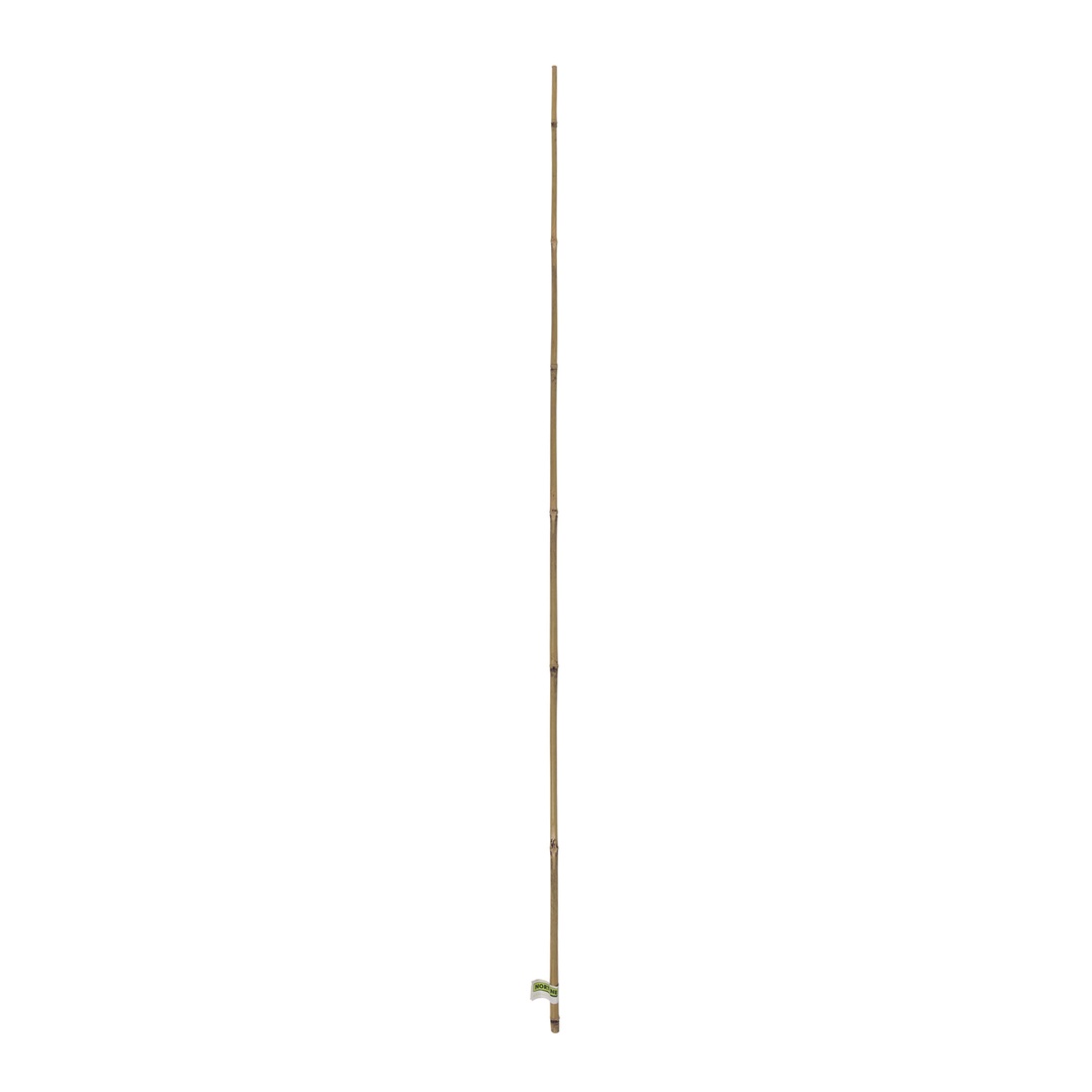 Tutor de bambú natural BAMBOO para guiar plantas y cultivos en crecimiento