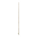 Tutor de bambú natural BAMBOO para guiar plantas y cultivos en crecimiento