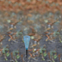 Pluviomètre de jardin avec support pluviométrique vert nordique