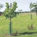 Confezione da 10 reti protettive anti-roditori Treeguard di Nortene