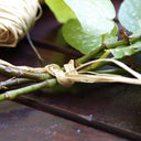 Raphia naturelle 50 g nordène