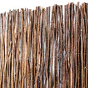 OSIER MULTI-TIGES