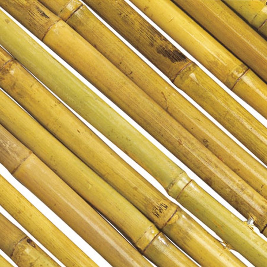 Cañizo entero barnizado bambooflex nortene