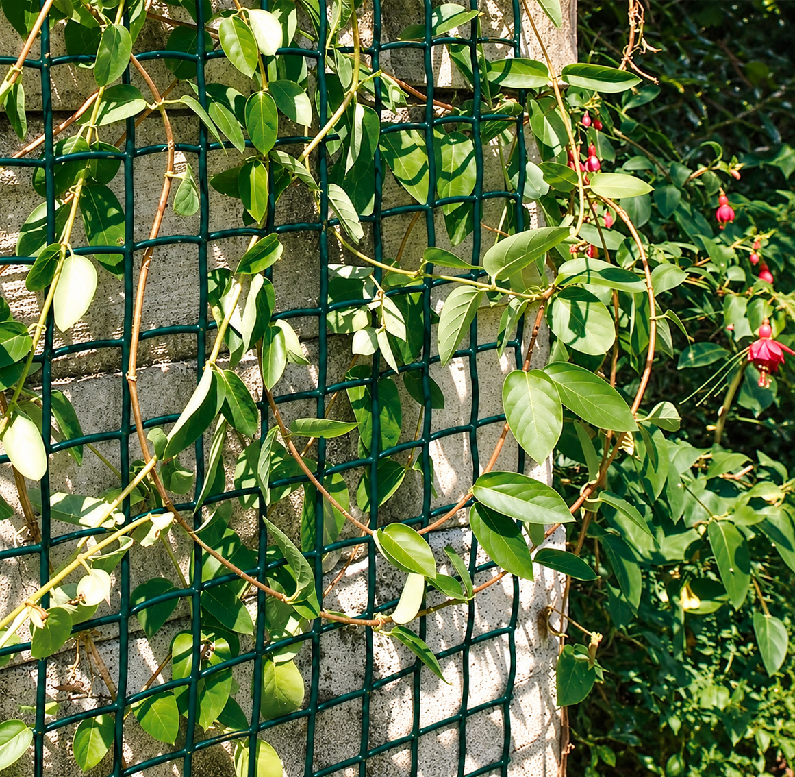 Malla plastica cuadrada colgante climbanet verde nortene