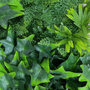 Rotolo da giardino verticale Costa 100 x 100 cm nortene