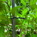Collier de serrage en mousse North Green Biflex 3,5 mm 10 m