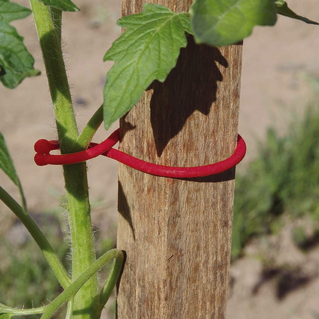 Pack 25 clips para tomateras tomatoclip 4.5x6.2 cm rojo nortene