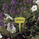 Etichetta colorata 15cm 16 unità nortene