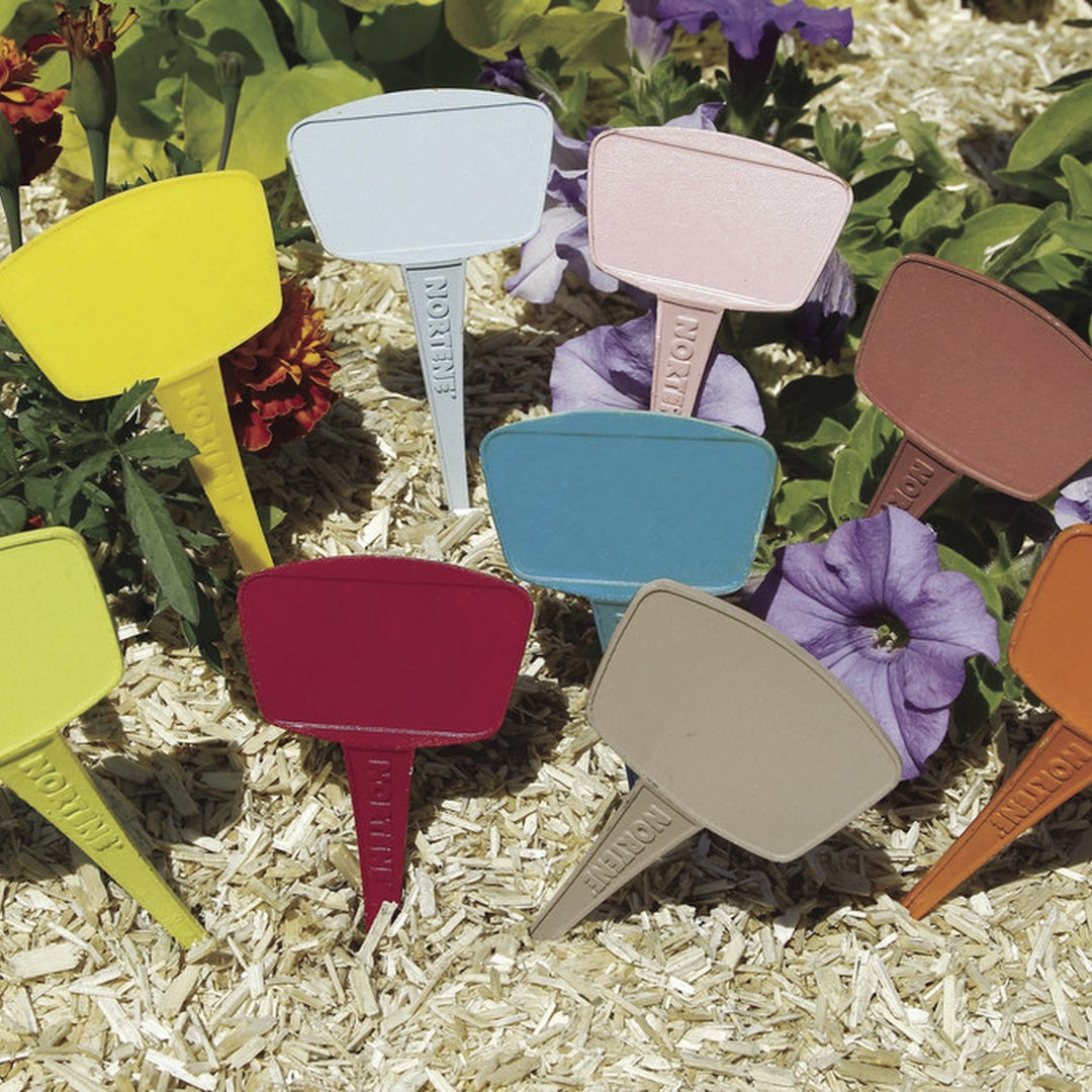Etichetta colorata 15cm 16 unità nortene