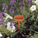 Etichetta colorata 15cm 16 unità nortene