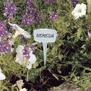 Etichetta colorata 15cm 16 unità nortene