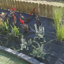 Groundsol rete anti-erbacce 120 g nera nortene
