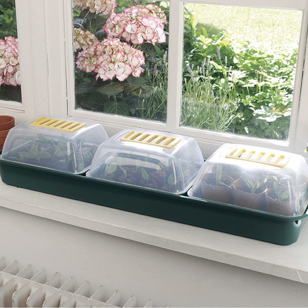 PACK OF 3 MINI GROWWINDOWS FOR SEEDS GROW WINDOW 66X18X9 CM NORTENE