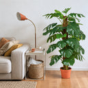 Pianta di monstera artificiale 135 cm