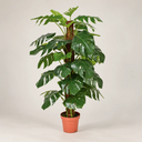 Pianta di monstera artificiale 135 cm