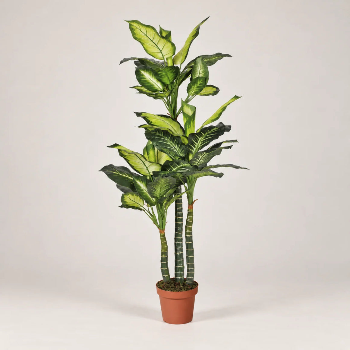 Plante artificielle en forme de patte d'éléphant, 150 cm