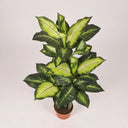 Plante artificielle en forme de patte d'éléphant, 150 cm