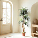 Plante artificielle Nolina 185 cm