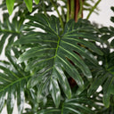 Planta artificial de filodendro de 150 cm