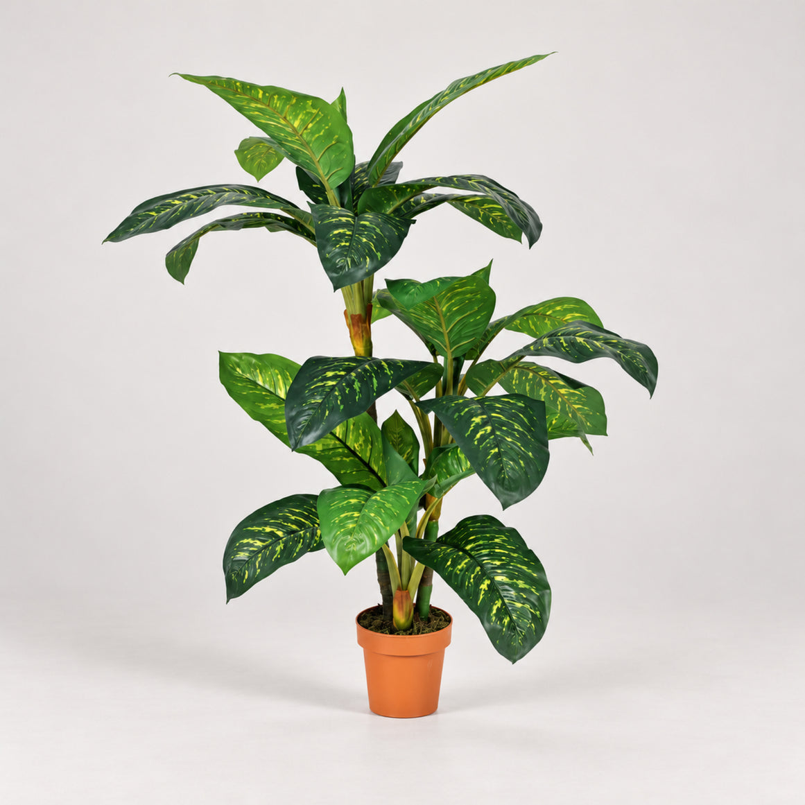 Pianta artificiale Calathea 135 cm