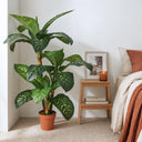 Pianta artificiale Calathea 135 cm