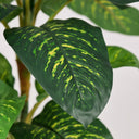 Pianta artificiale Calathea 135 cm