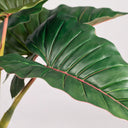 Planta artificial arco-íris 170 cm norte