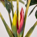 Planta artificial arco-íris 170 cm norte