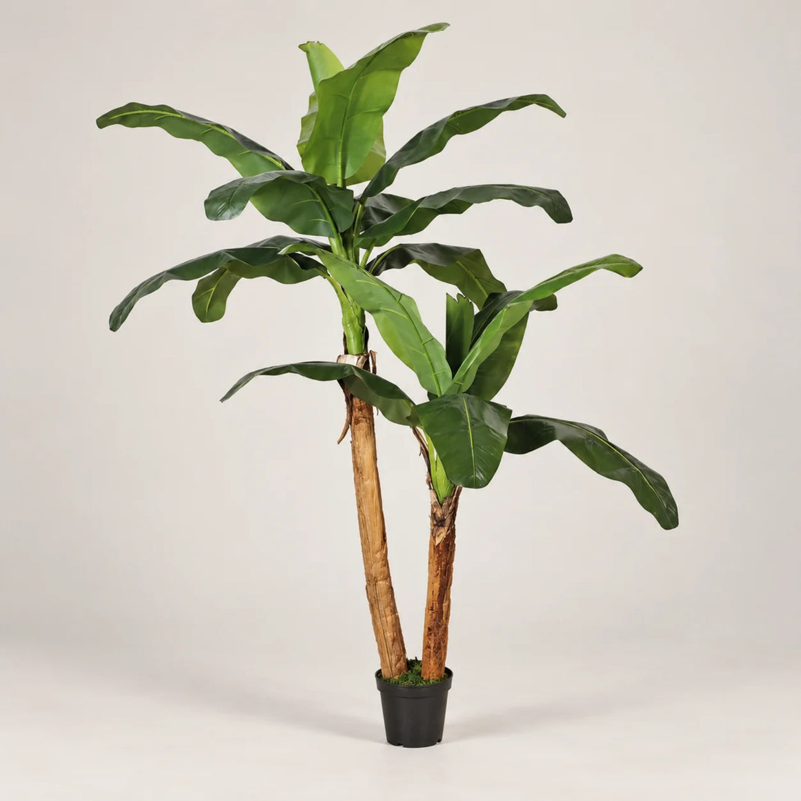 Planta artificial platanera 180 cm