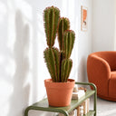 Cactus artificiale euphorbia suzannae 57,5 ​​cm nortene