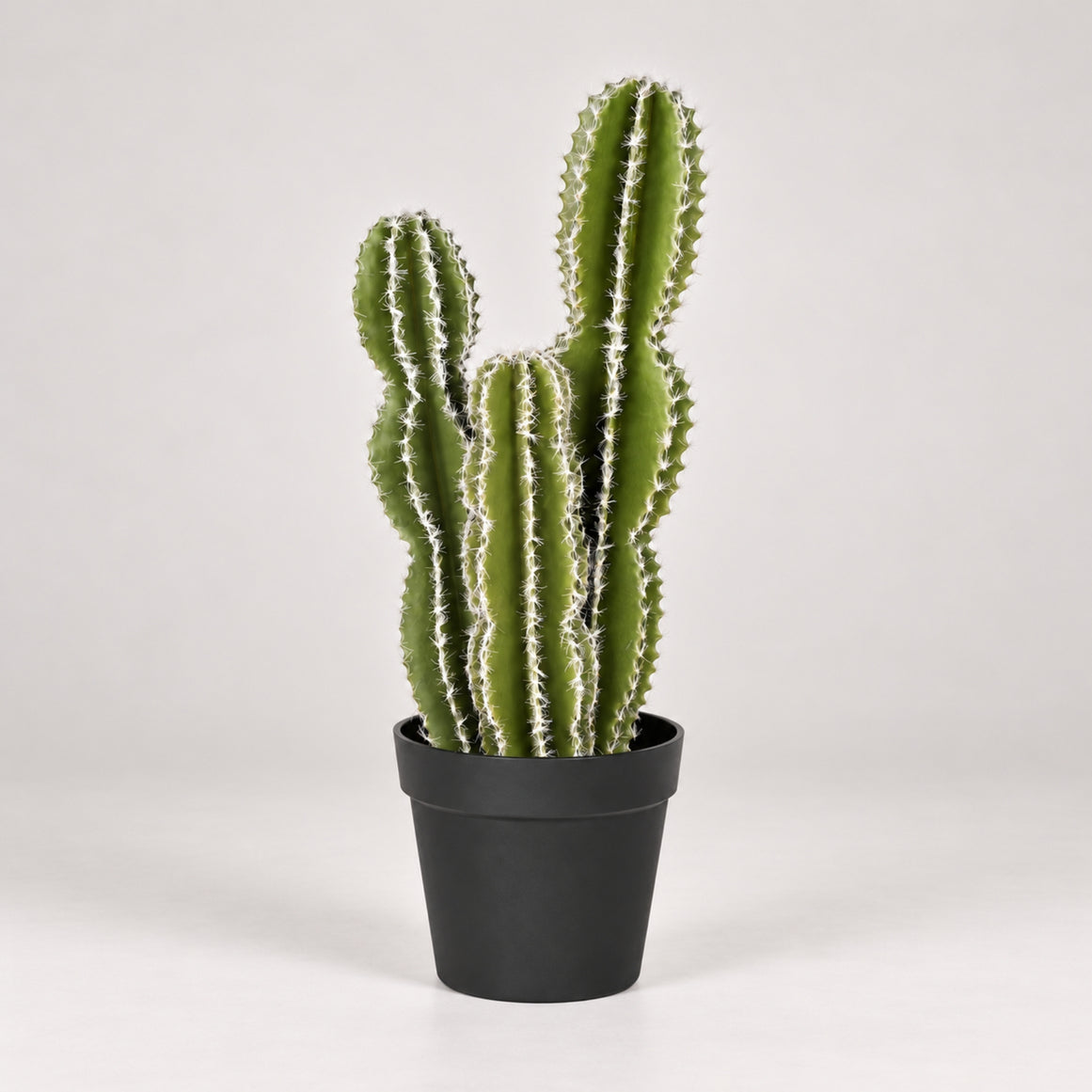 Cactus castillo de hadas 62 cm nortene