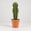 Cactus artificial stetsonia coryne 64 cm