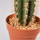 Cactus artificial stetsonia coryne 64 cm