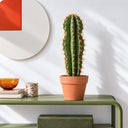 Cactus artificial stetsonia coryne 64 cm