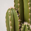 Cactus artificial organo 120 cm nortene
