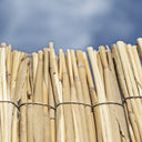 obstacle multi-nortene en roseau de bambou écorcé à tiges multiples