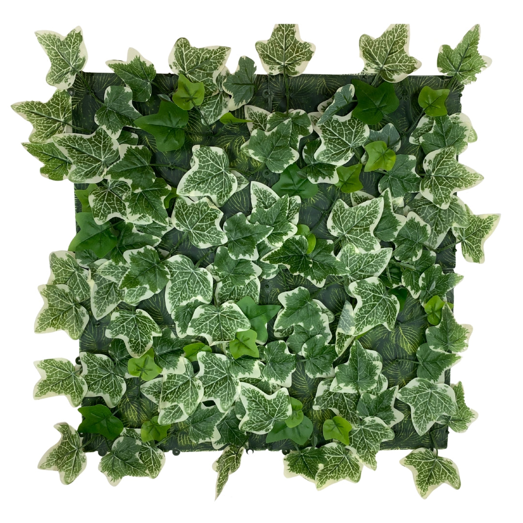 Jardim vertical, choupo, 50x50 cm, verde do norte