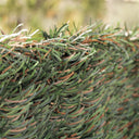 SIEPE ARTIFICIALE HIDECURVE TRICOLORE