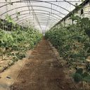Rete zincata per compost 2x5 m nortene