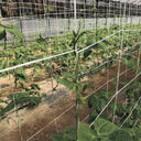 Rete zincata per compost 2x5 m nortene