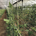 Rete zincata per compost 2x5 m nortene