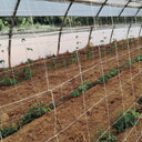 Rete zincata per compost 2x5 m nortene